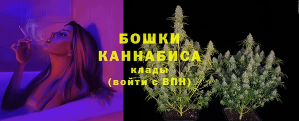 МДПВ Семилуки