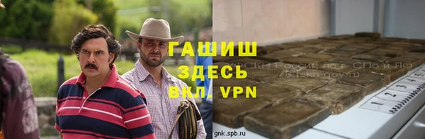 крисы Сатка