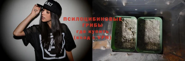 крисы Сатка