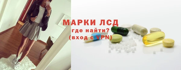 крисы Сатка