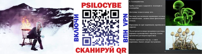 Купить  Новокузнецк  Псилоцибиновые грибы мицелий 